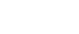 BIR member